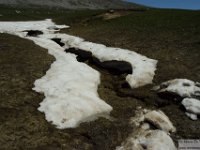 2026-05-09 Le cime di Casamaina 160